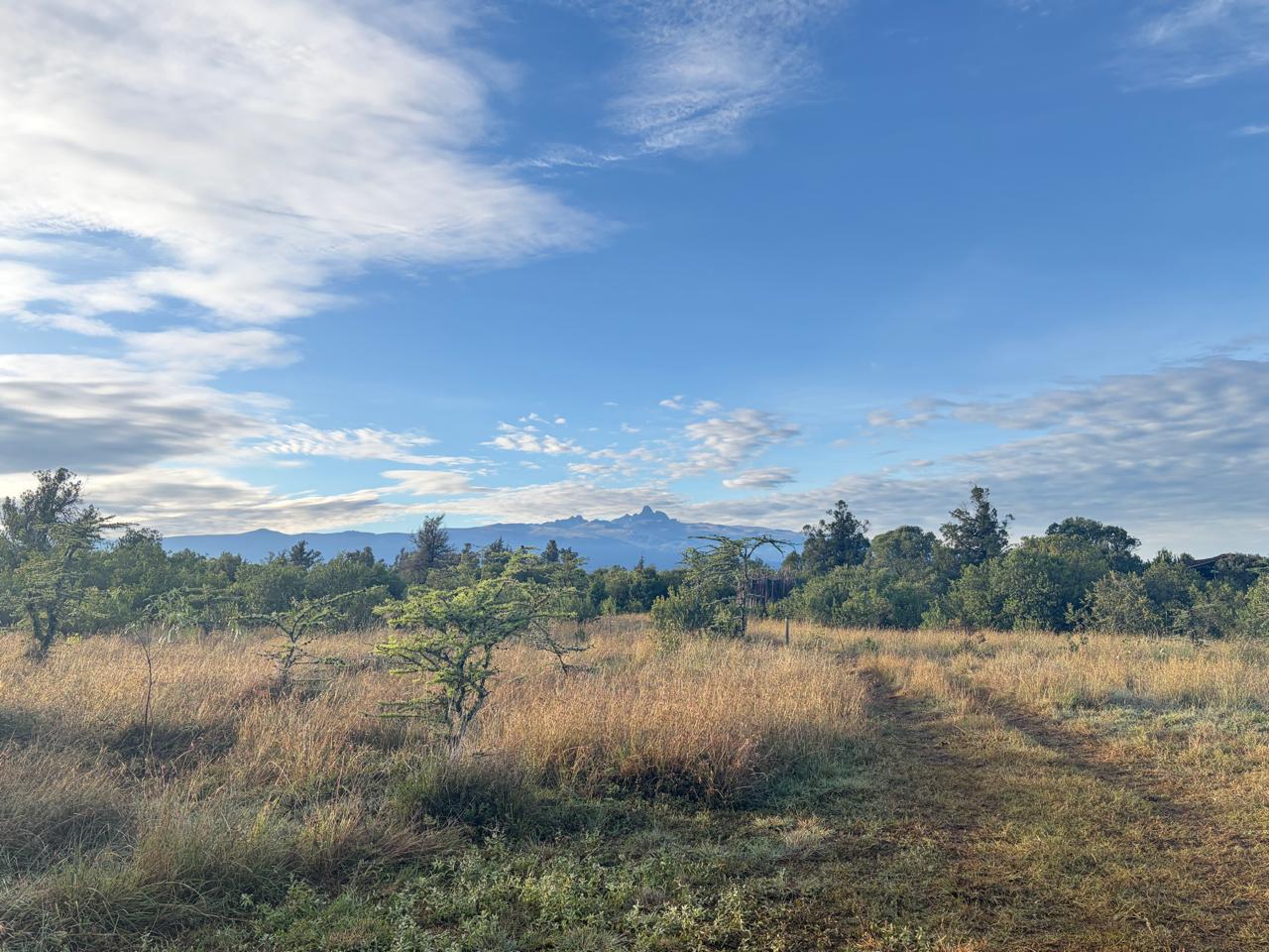 Mount Kenya landscape, Nanyuki