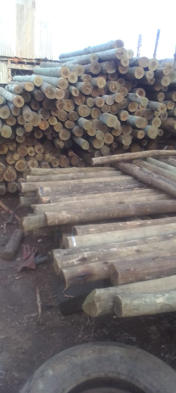 Treated wooden posts